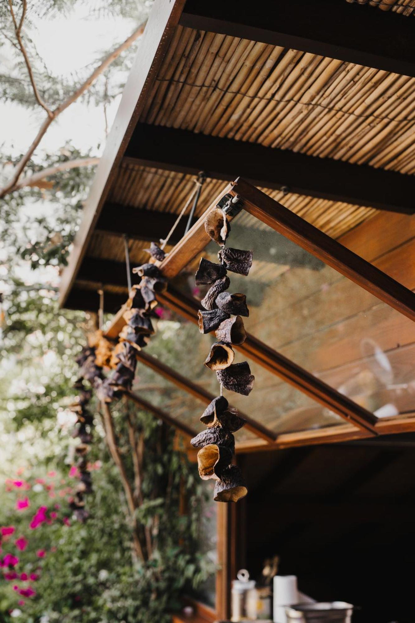 Pachamama Alaçatı Extérieur photo